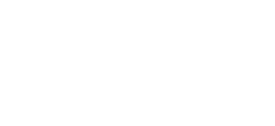 بینک آف پنجاب logo